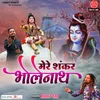 About Mere Shankar Bholenath Song